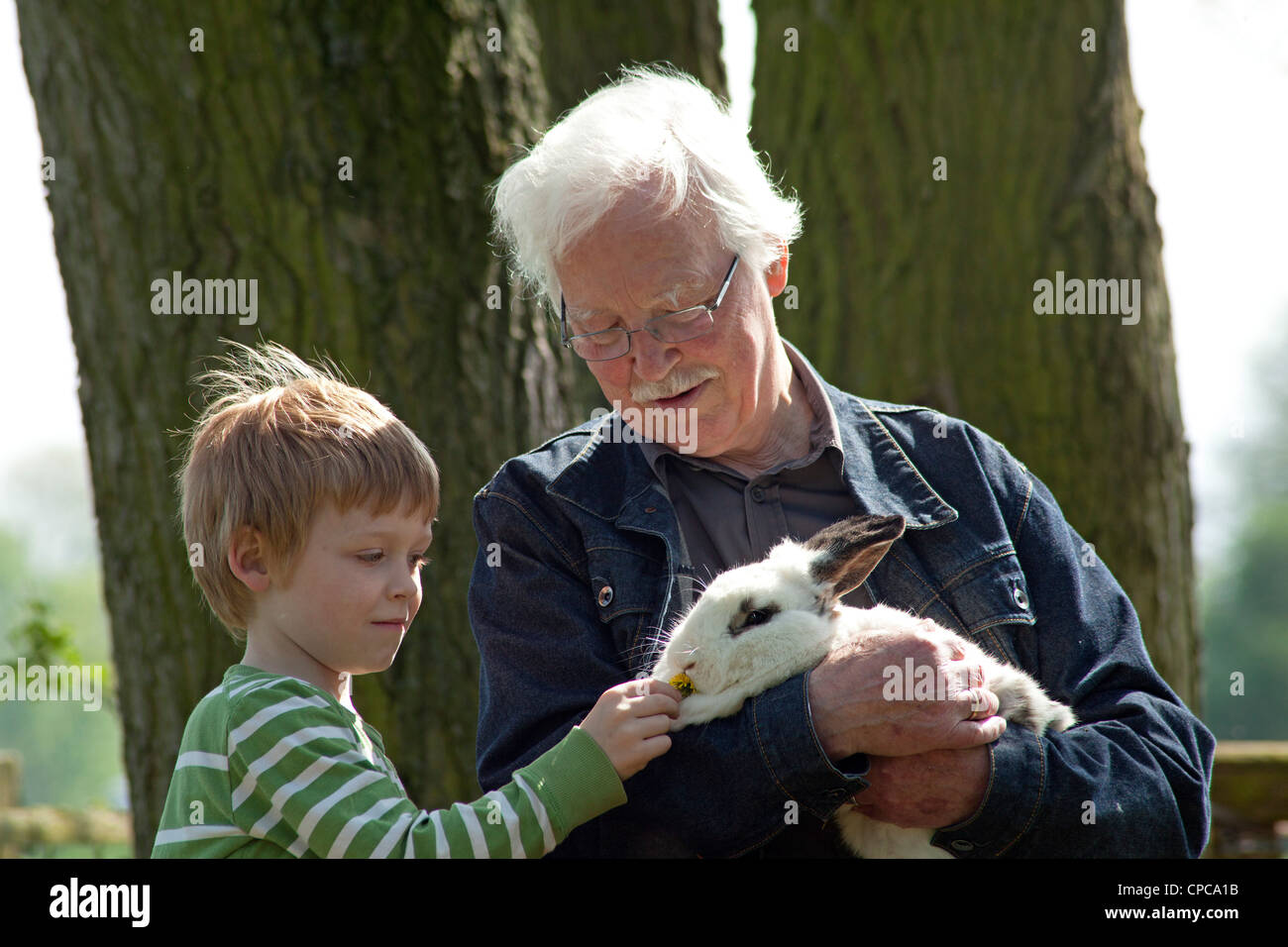 Grand-père et petit-fils de câliner un lapin Banque D'Images