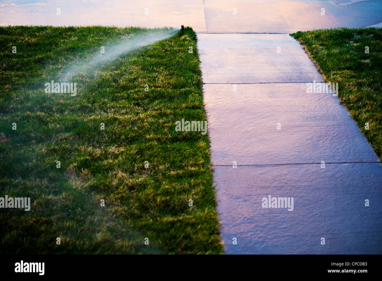 Coucher du soleil couleurs reflètent sur un trottoir mouillé. Système d'irrigation automatisé les eaux pelouse sur la propriété d'un immeuble d'accueil Banque D'Images