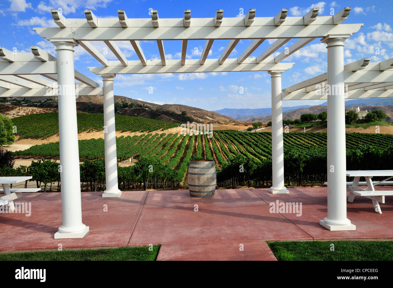 Vignobles plantés de Cabernet Sauvignon s'étendre dans la vallée derrière Leoness Cellars Winery, Temecula, Californie Banque D'Images