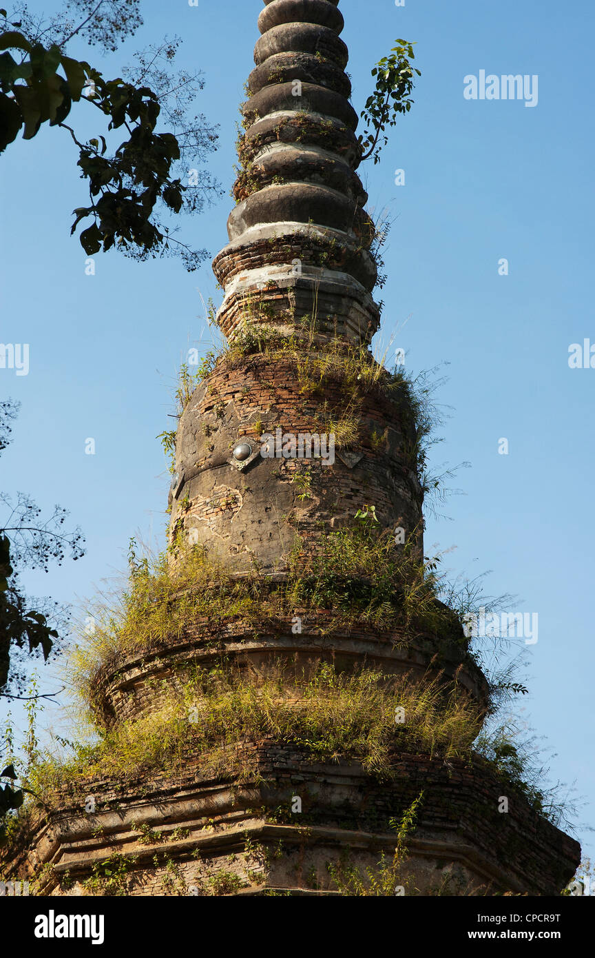 Elk208-5270v Thaïlande, Chiang Saen, Wat Chedi Luang, chedi 1515 Banque D'Images