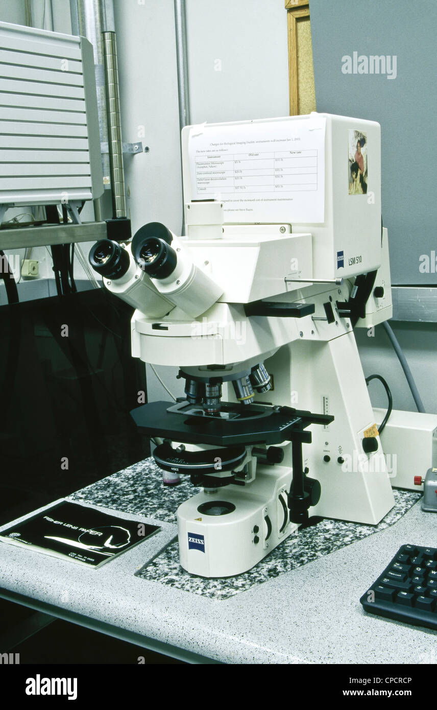 Zeiss LSM510 Microscope confocal à balayage laser. Banque D'Images