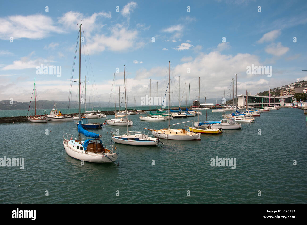 Nouvelle Zélande, île du Nord, Wellington harbour, Port Nicolson avec voiliers Banque D'Images
