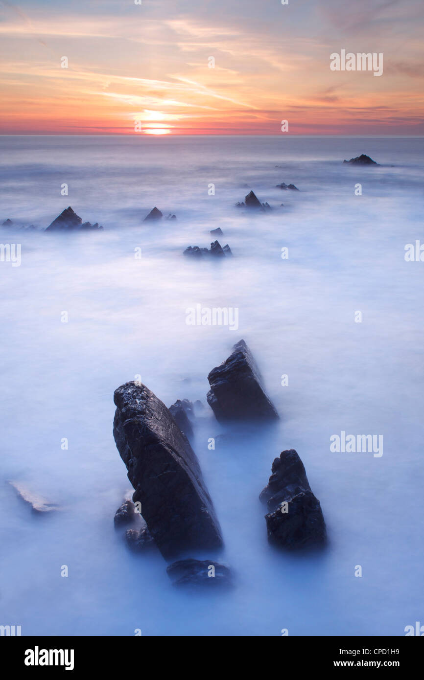 Hartland Quay, Devon, Angleterre, Royaume-Uni, Europe Banque D'Images