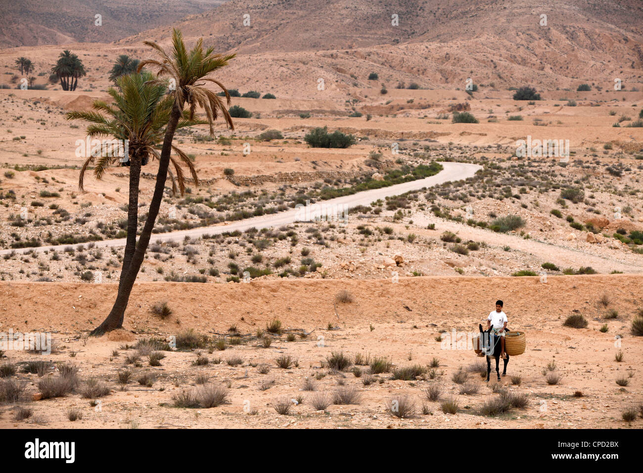 Garçon sur un âne dans un paysage aride, Gabès, Tunisie, Afrique du Nord, Afrique Banque D'Images
