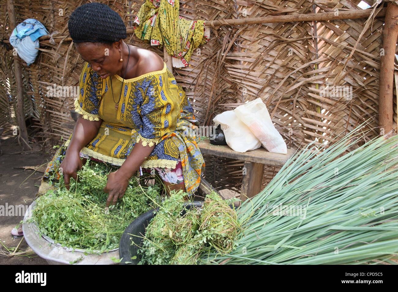 Phytothérapie, Lomé, Togo, Afrique de l'Ouest, l'Afrique Banque D'Images