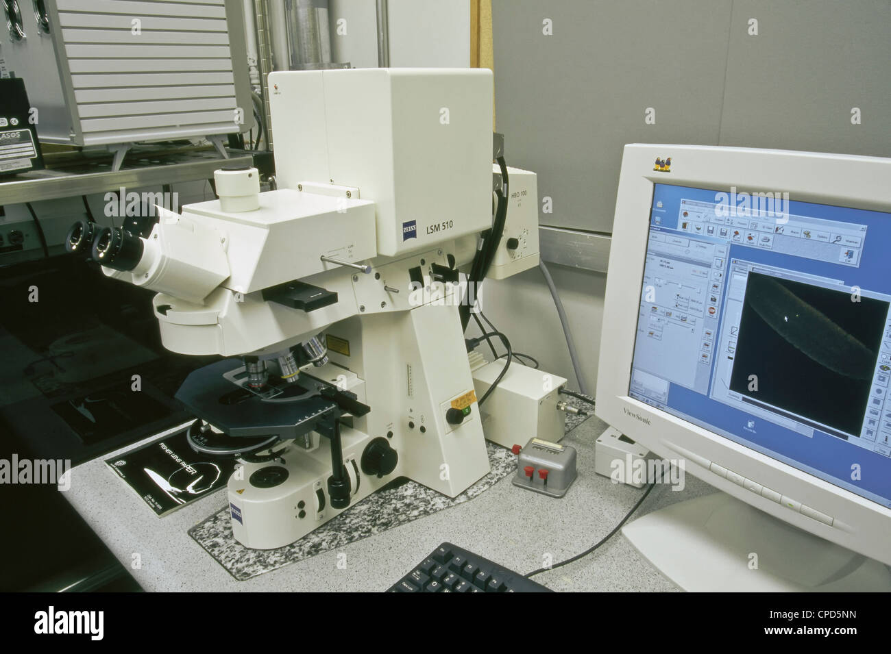 Zeiss LSM510 Microscope confocal à balayage laser. Banque D'Images