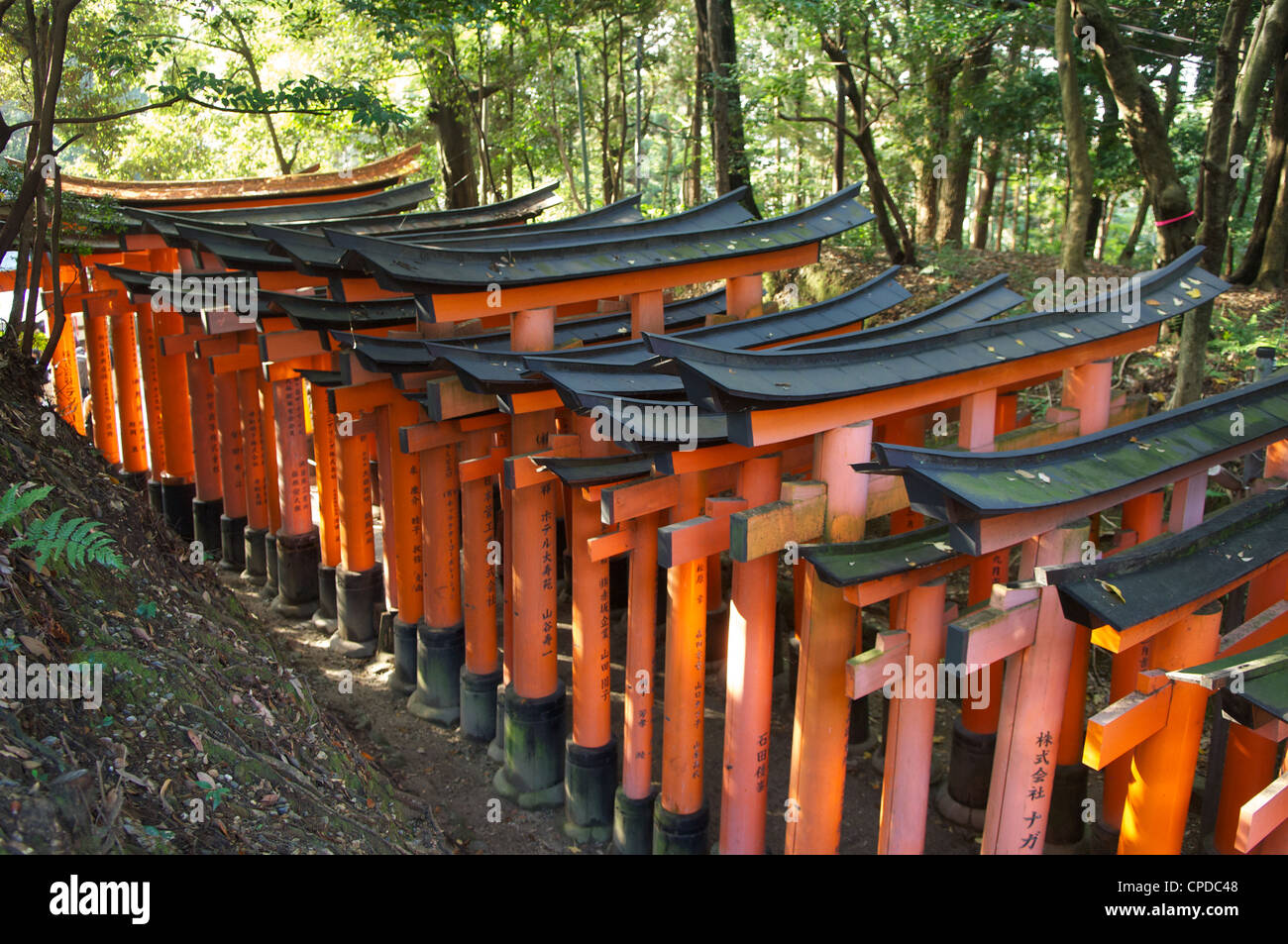 Sanctuaire Fushimi Inari, Kyoto, Honshu, Japan Banque D'Images