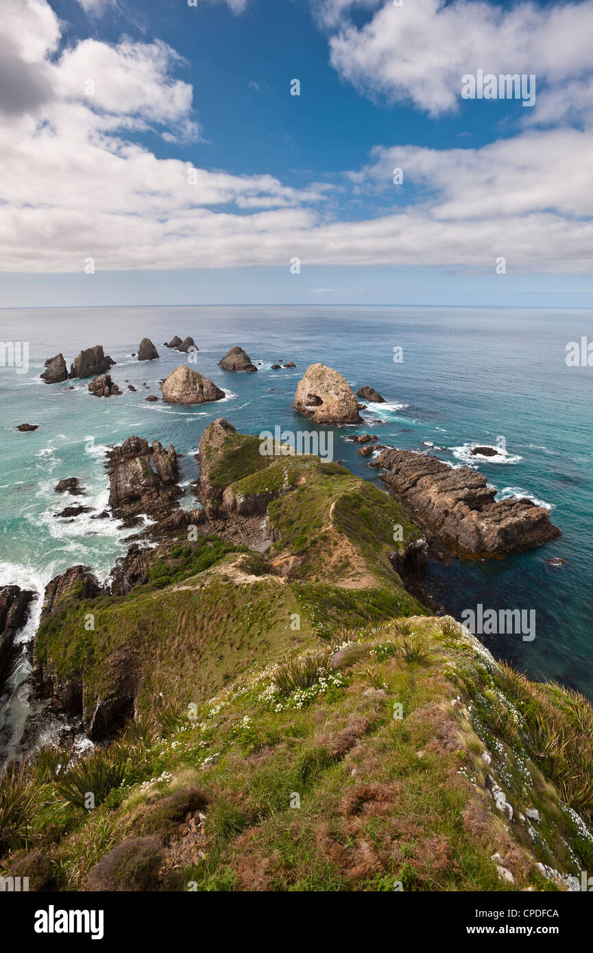 Nugget Point, Otago, île du Sud, Nouvelle-Zélande, Pacifique Banque D'Images