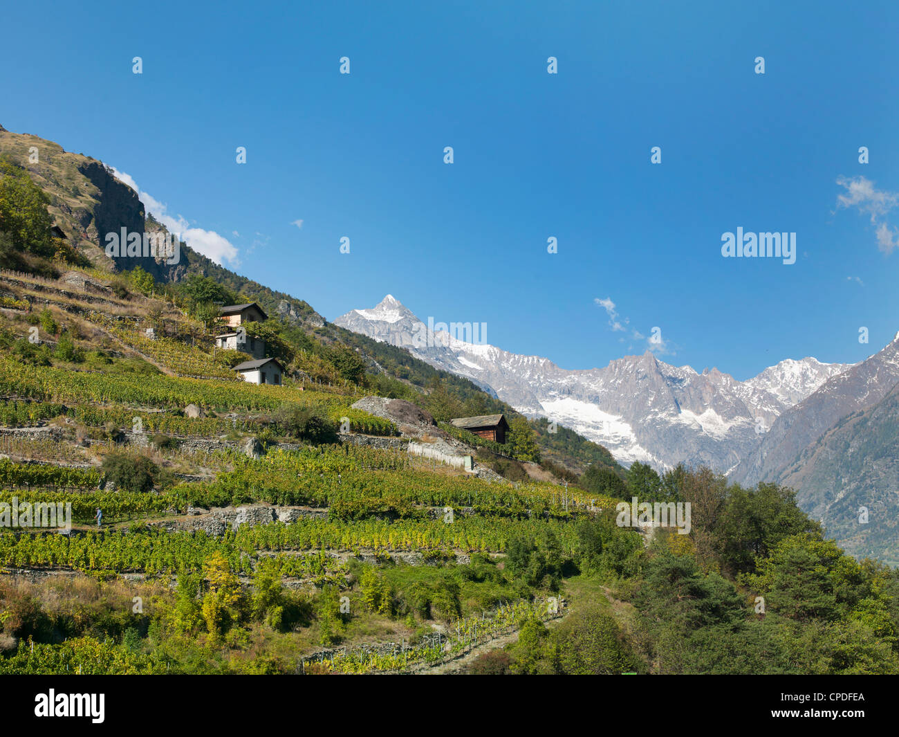 Zermatt, Valais, Alpes Suisses, Suisse, Europe Banque D'Images