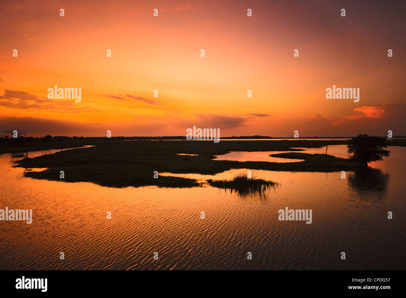 Lagune d'Arugam au coucher du soleil, un bon de faune de Pottuvil, Arugam Bay, province de l'Est, Asie, Sri Lanka Banque D'Images