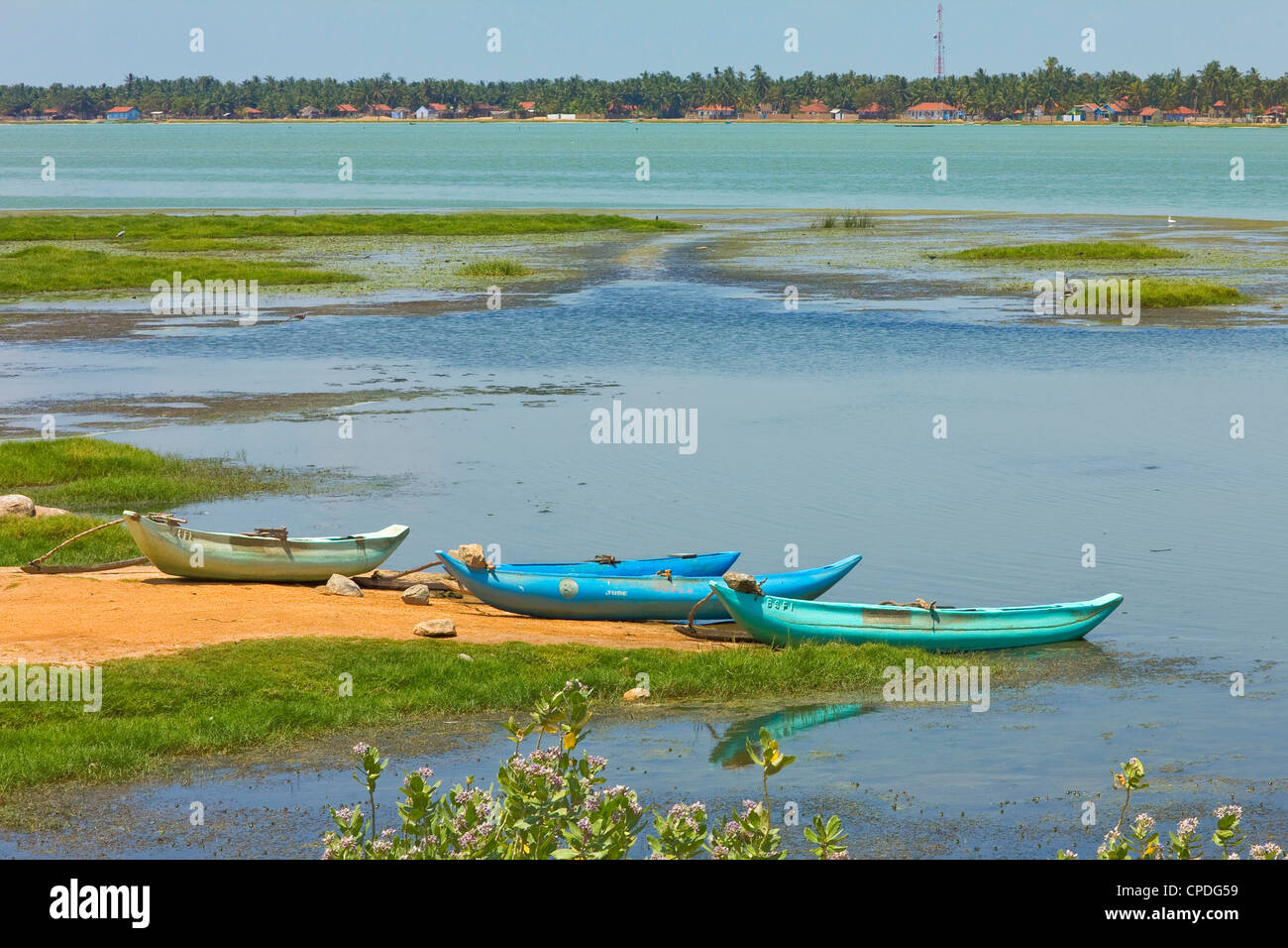 En canots d'Arugam Lagoon, connu pour sa faune, Pottuvil, Arugam Bay, province de l'Est, Asie, Sri Lanka Banque D'Images