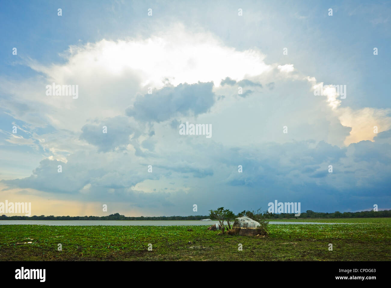 Storm cloud rétroéclairé sur une lagune (réservoir) à Kumana, anciennement Parc National Yala est, Kumana, Province de l'Est, Asie, Sri Lanka Banque D'Images