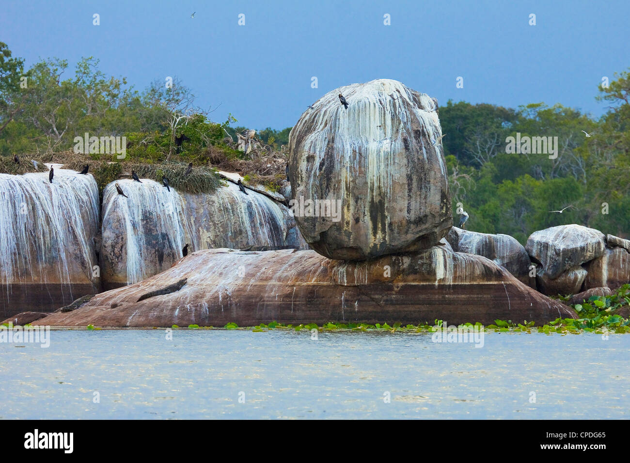 Rock formation avec les crocodiles et les cormorans à Kumana, anciennement Parc national de Yala est, Kumana, Rhône-Alpes, France Banque D'Images