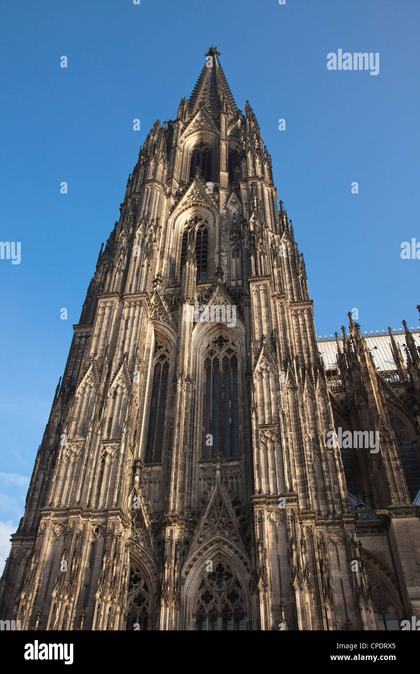 Clocher de la cathédrale. Cologne, Allemagne. Banque D'Images