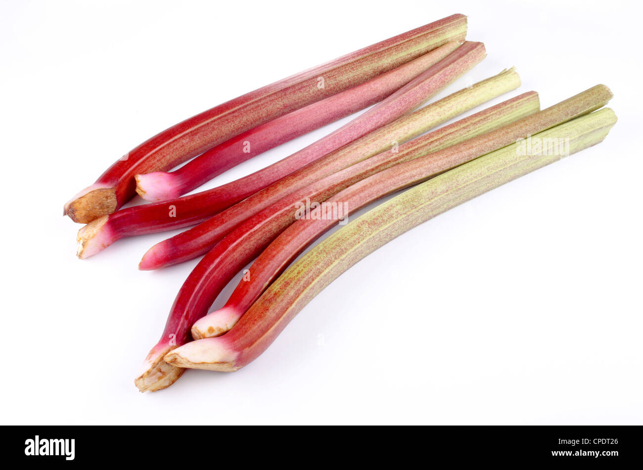 La rhubarbe bio fraîchement coupées du jardin Banque D'Images