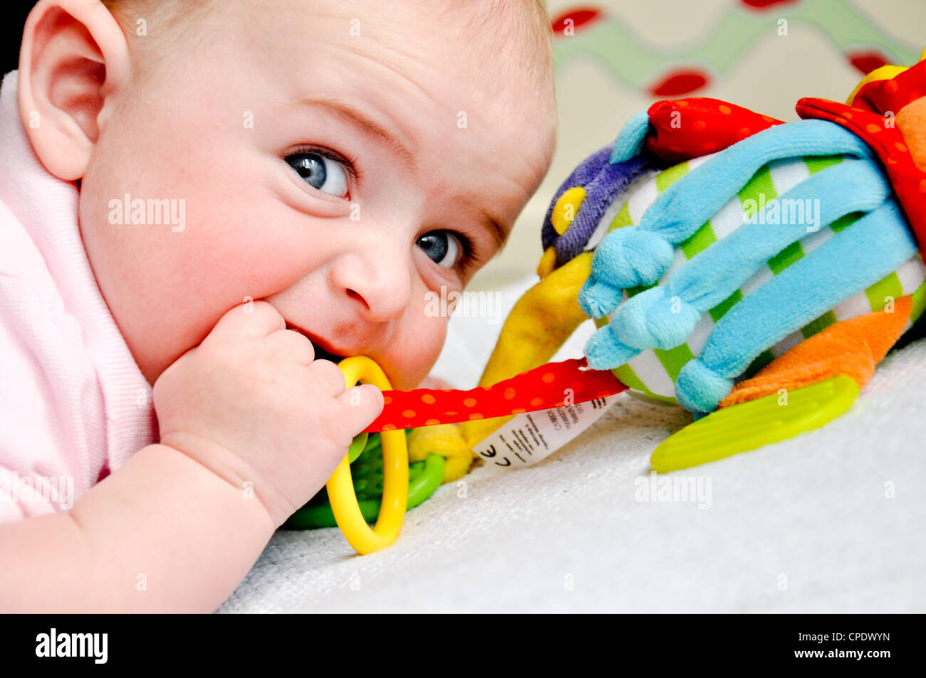 Bébé âgé de 5 mois à mâcher sur jouet hochet Banque D'Images
