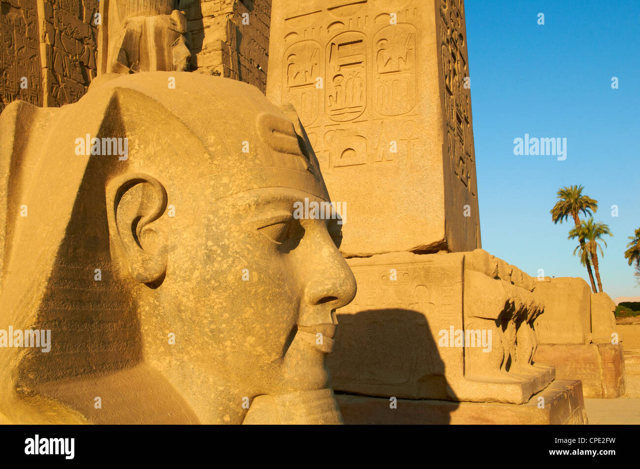 Statue du pharaon Ramsès II et l'Obélisque, temple de Louxor, Thèbes, Site du patrimoine mondial de l'UNESCO, l'Égypte, l'Afrique du Nord, Afrique Banque D'Images