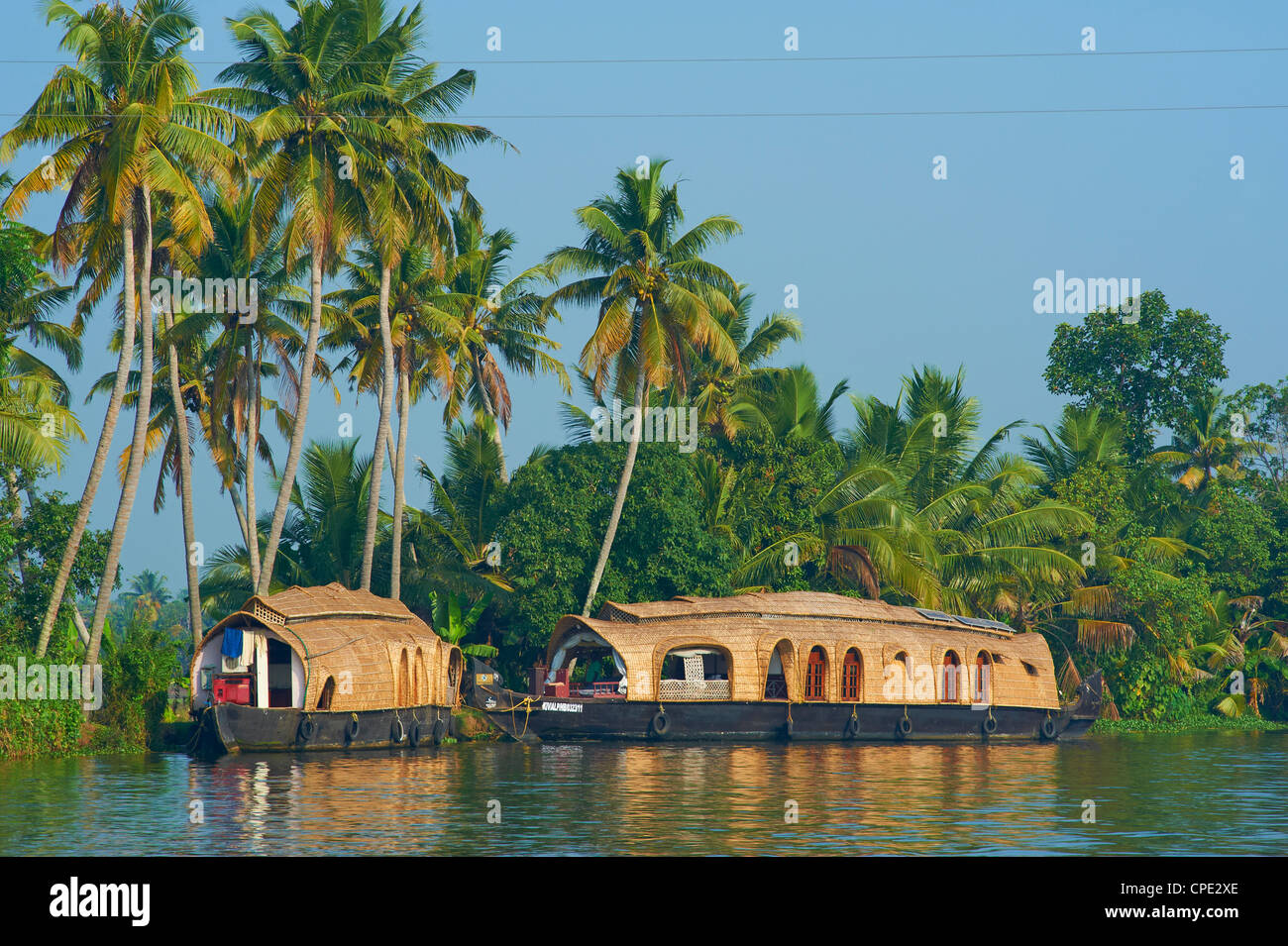Péniche pour les touristes sur l'eau dormante, Allepey, Kerala, Inde, Asie Banque D'Images