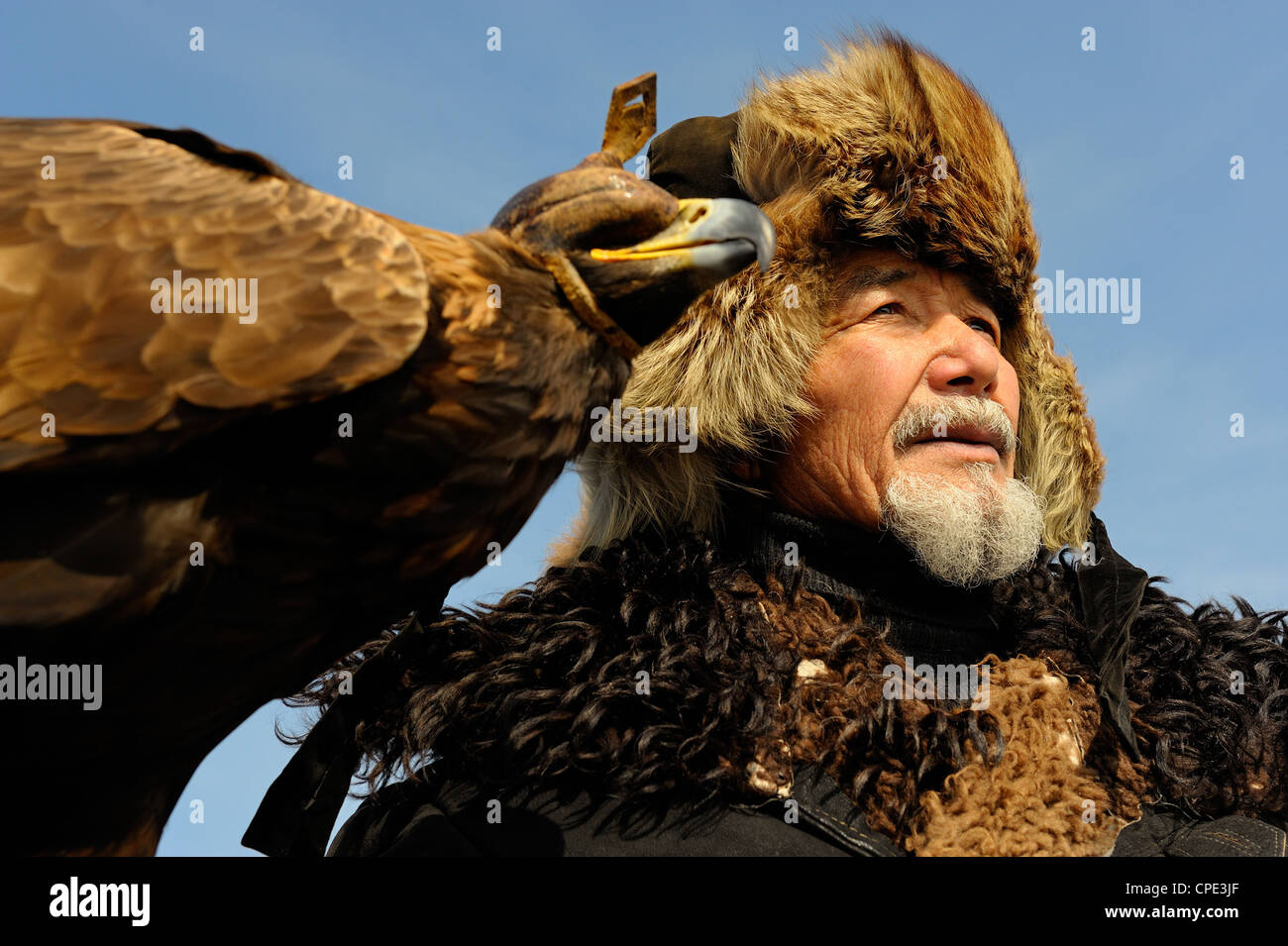 Plus ancien chasseur Kazakh Abylkhak avec golden eagle. Banque D'Images