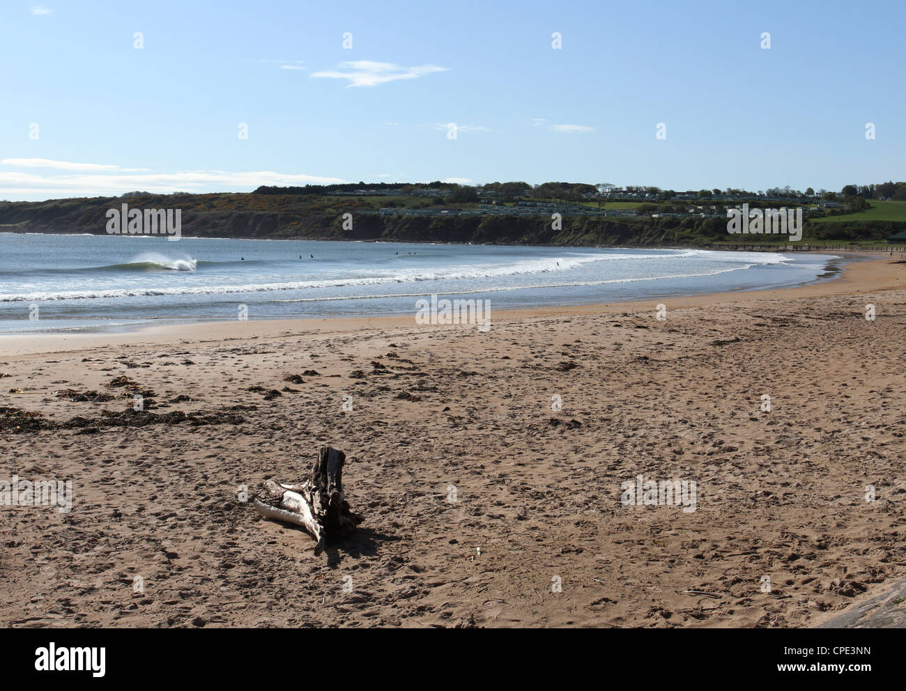 Les sables bitumineux de l'est St Andrews Fife Ecosse Mai 2012 Banque D'Images