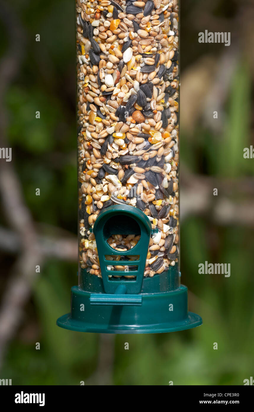 Close up de semences en plastique bon marché mangeoire suspendue dans un jardin pour attirer les oiseaux sauvages au Royaume-Uni Banque D'Images