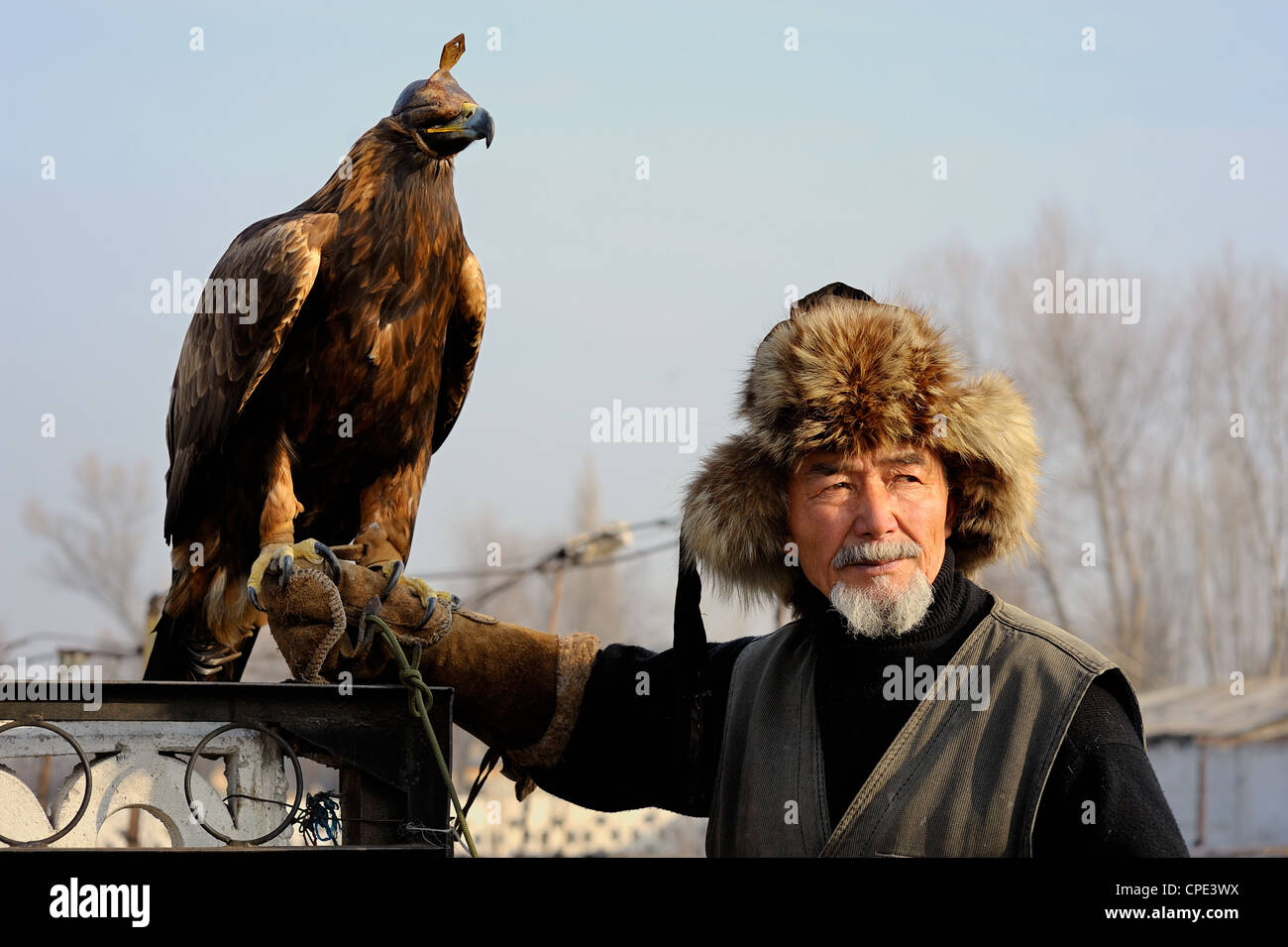 Vieux chasseur kazakh Abylkhak avec son aigle doré. Banque D'Images