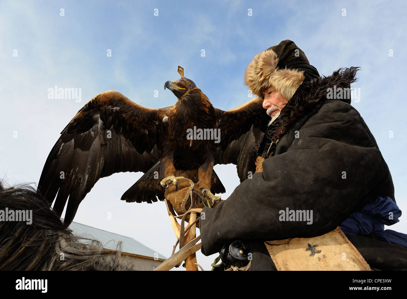 Vieux chasseur kazakh Abylkhak avec golden eagle. Banque D'Images