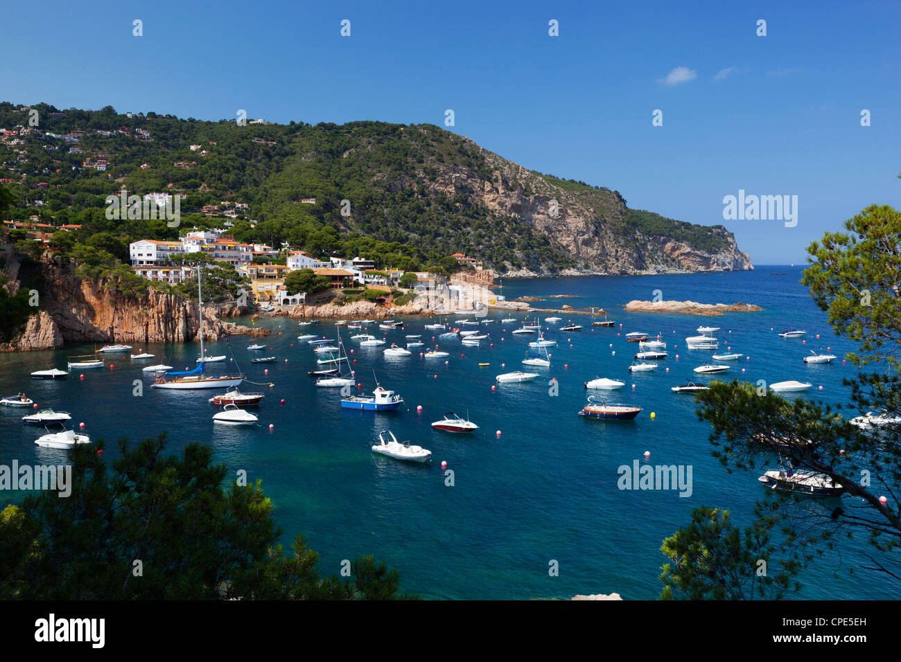 Vue sur baie, Aiguablava, près de Begur, Costa Brava, Catalogne, Espagne, Europe, Méditerranée Banque D'Images