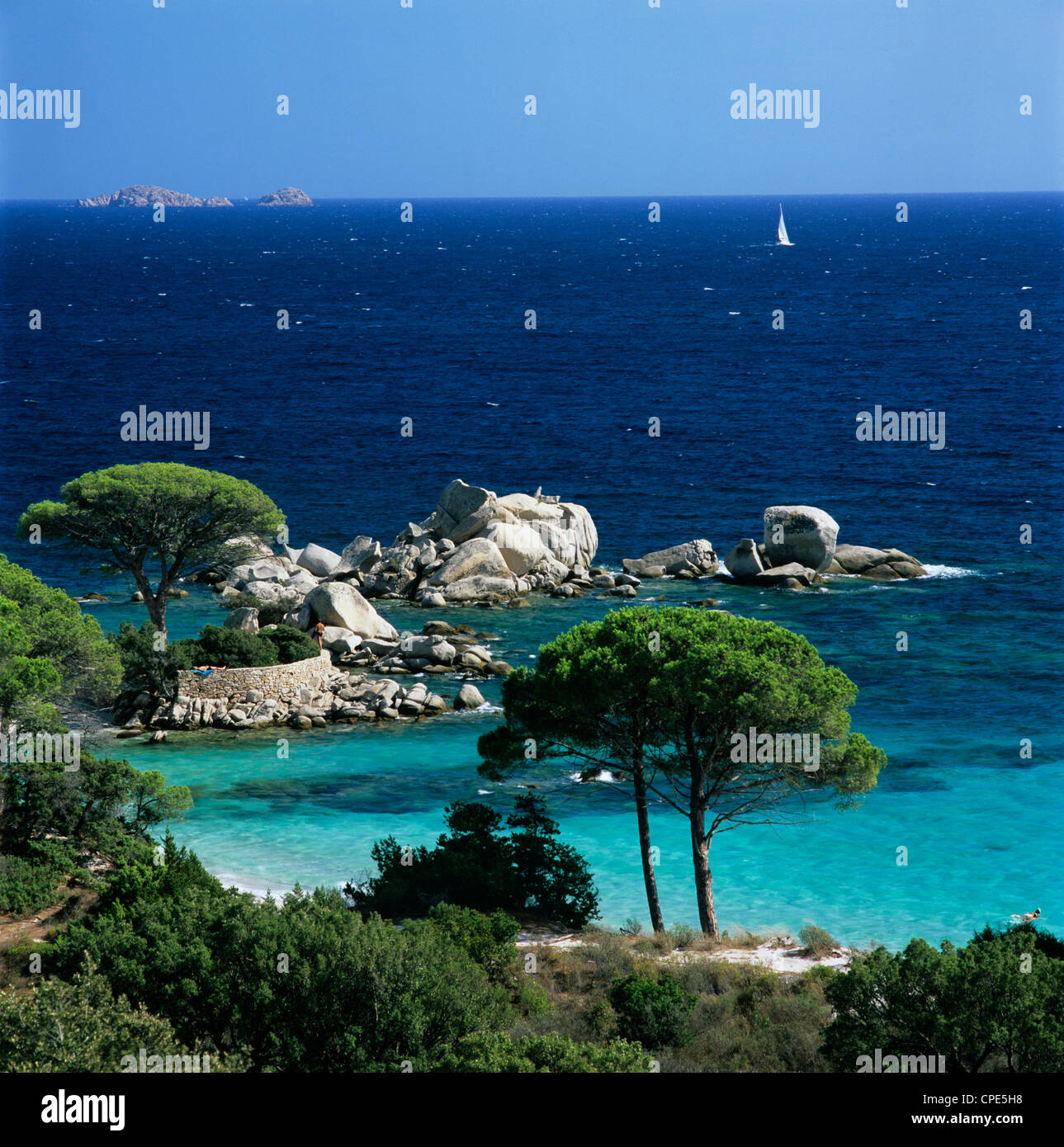 La Plage De Palombaggia Près De Porto Vecchio Au Sud Est