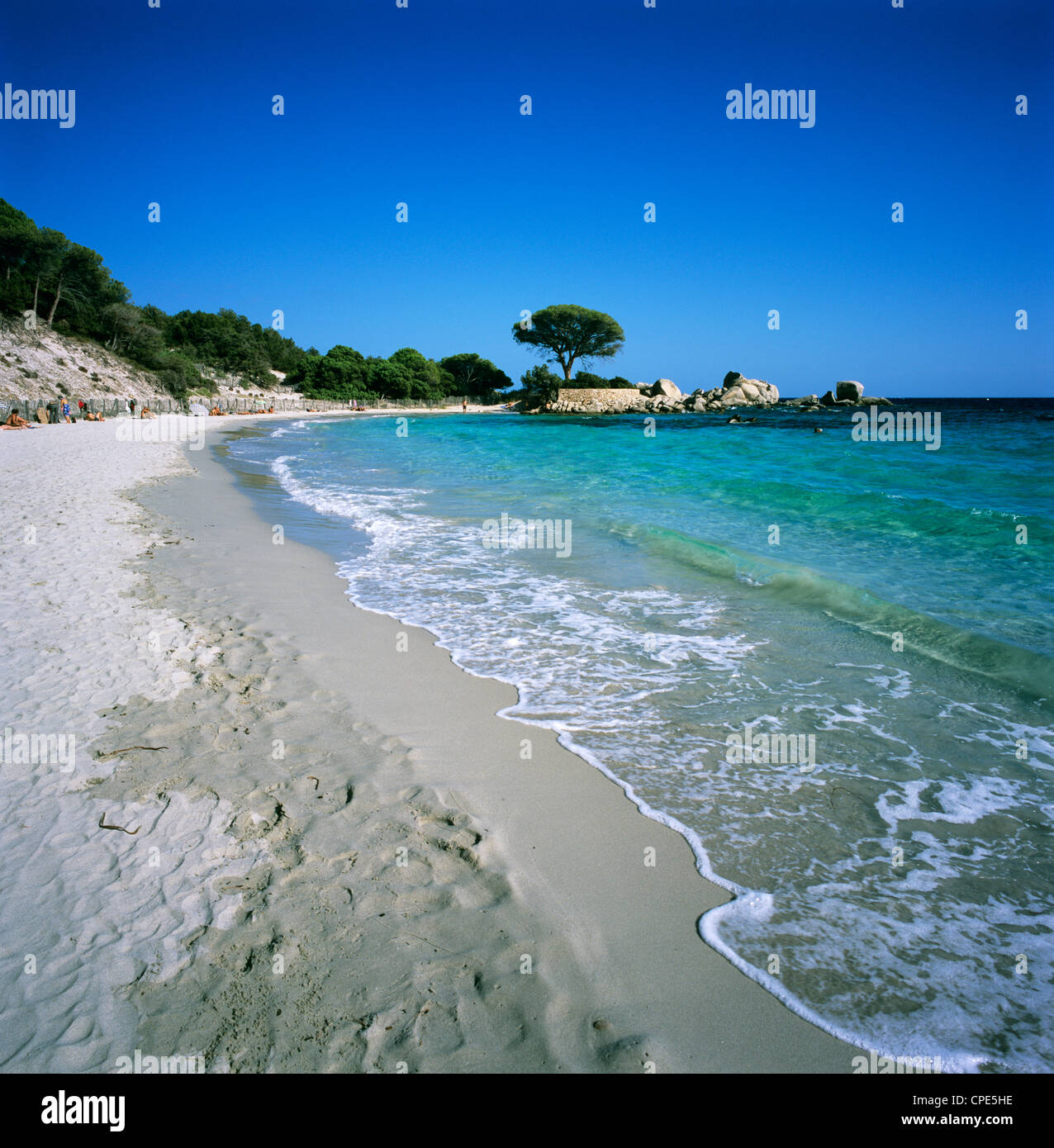 La Plage De Palombaggia Près De Porto Vecchio Au Sud Est
