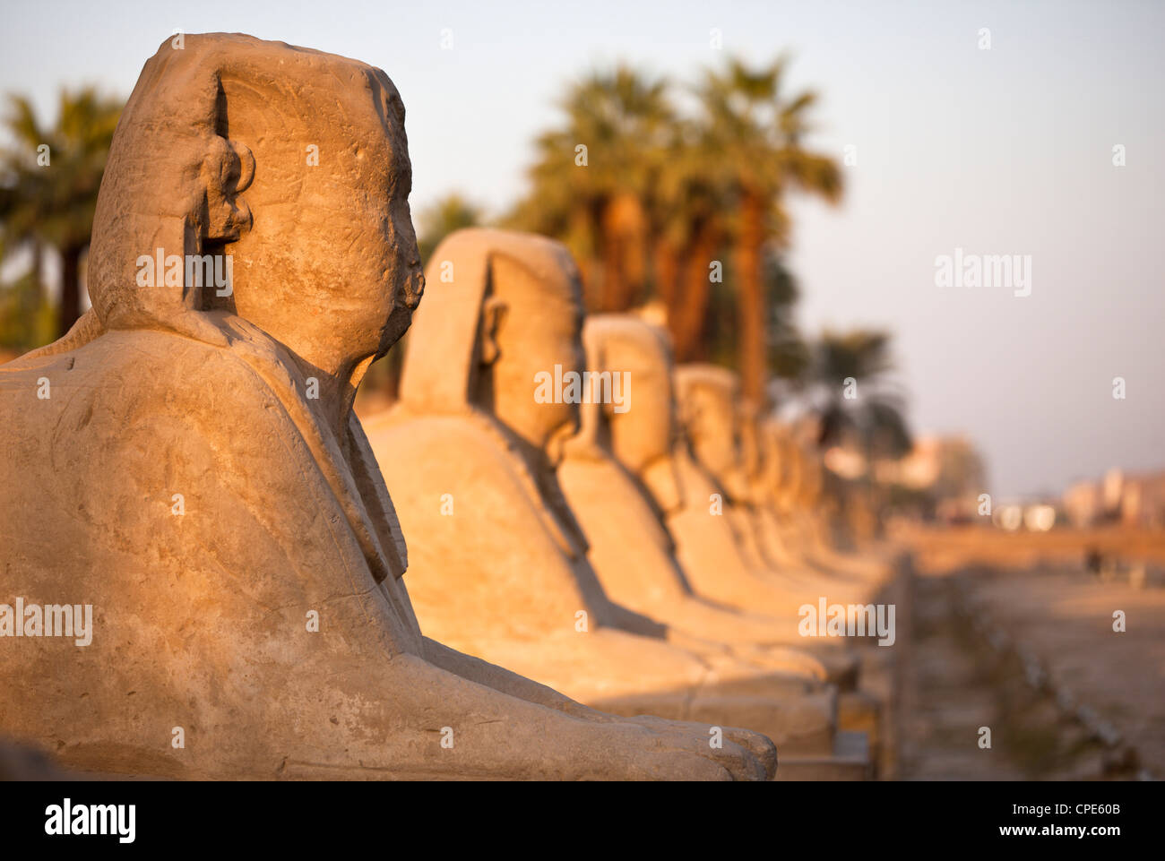 Le temple de Louxor, Louxor, Thèbes, Site du patrimoine mondial de l'UNESCO, l'Égypte, l'Afrique du Nord, Afrique Banque D'Images