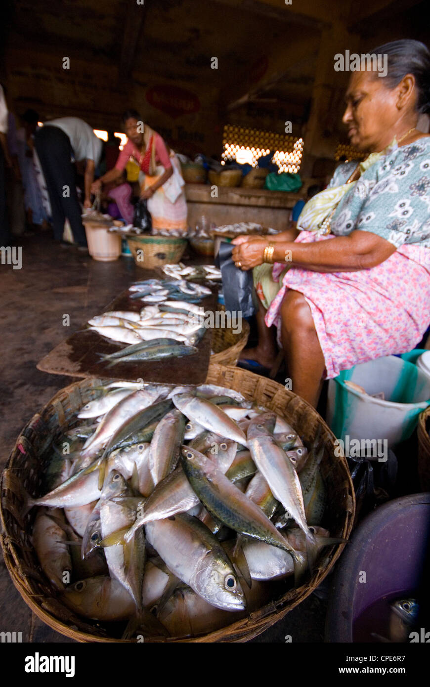 Femme vendant du poisson, Mapusa Market, Goa, Inde, Asie Banque D'Images