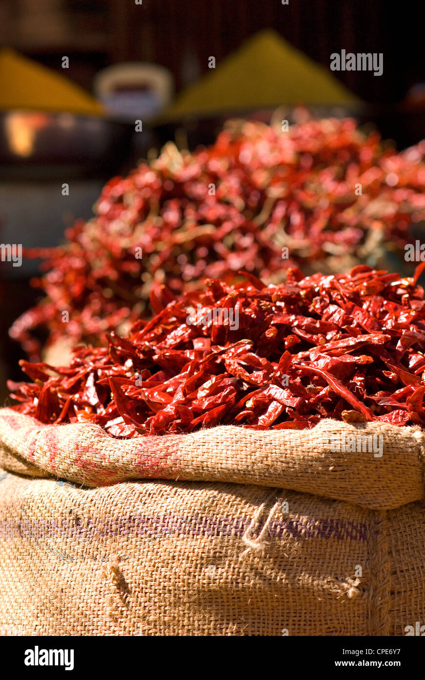 Les piments sur market stall, Udaipur, Rajasthan, Inde, Asie Banque D'Images