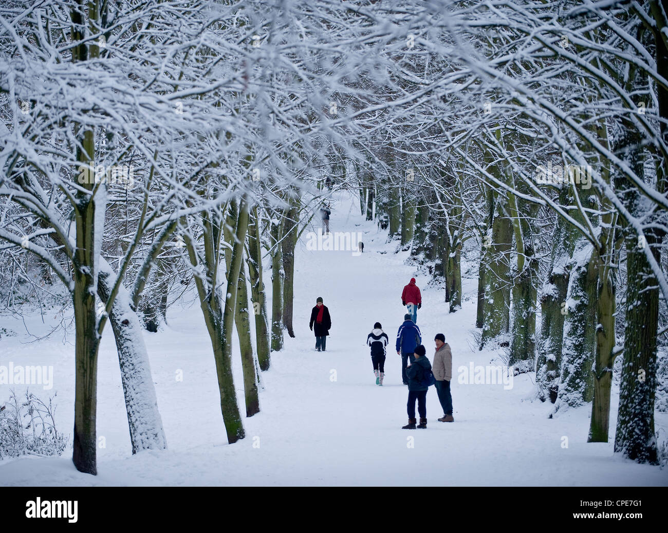 Hampstead Heath en hiver, au nord de Londres, Angleterre, Royaume-Uni, Europe Banque D'Images