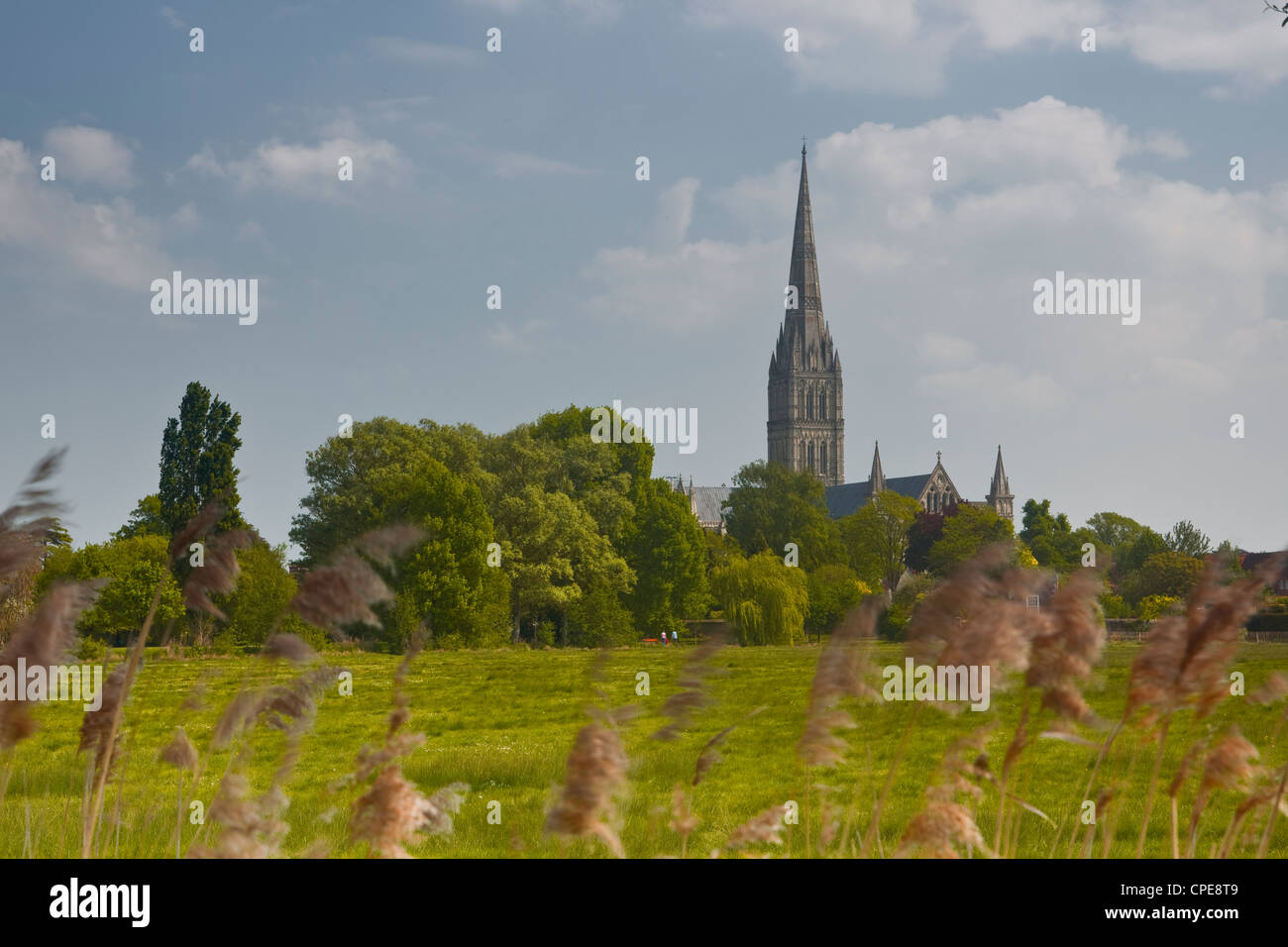 La cathédrale de Salisbury, Salisbury, Wiltshire, Angleterre, Royaume-Uni, Europe Banque D'Images