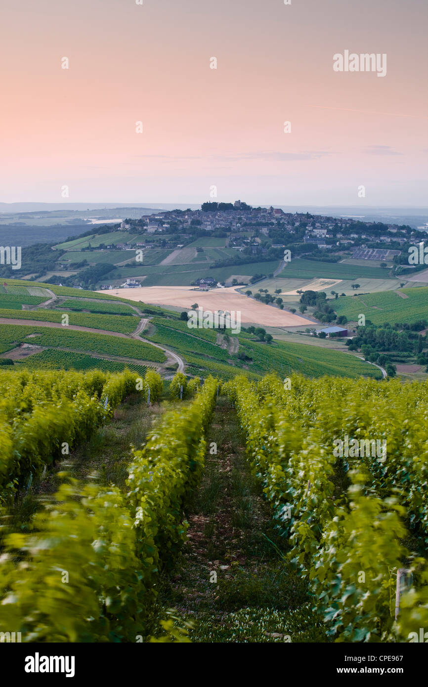 Regardant vers le bas rangées de vignes vers le village de Sancerre, Cher, vallée de la Loire, Centre, France, Europe Banque D'Images
