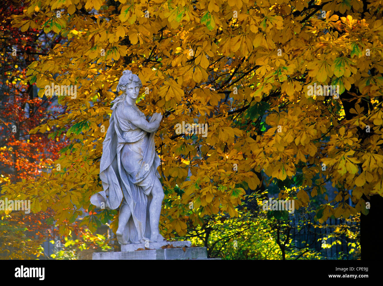 Europe Italie Piémont Turin Piazza Castello Royal Palace Royal Garden Statue Banque D'Images