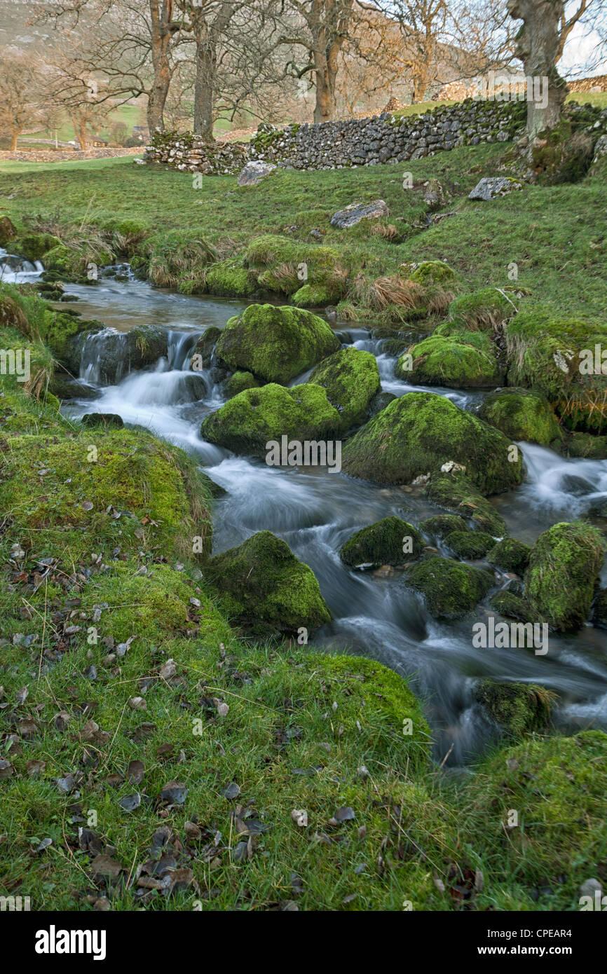 Gordale Beck Gordale Malham Yorkshire avec des roches couvertes de mousse juste en amont de Janet's Fosse Banque D'Images