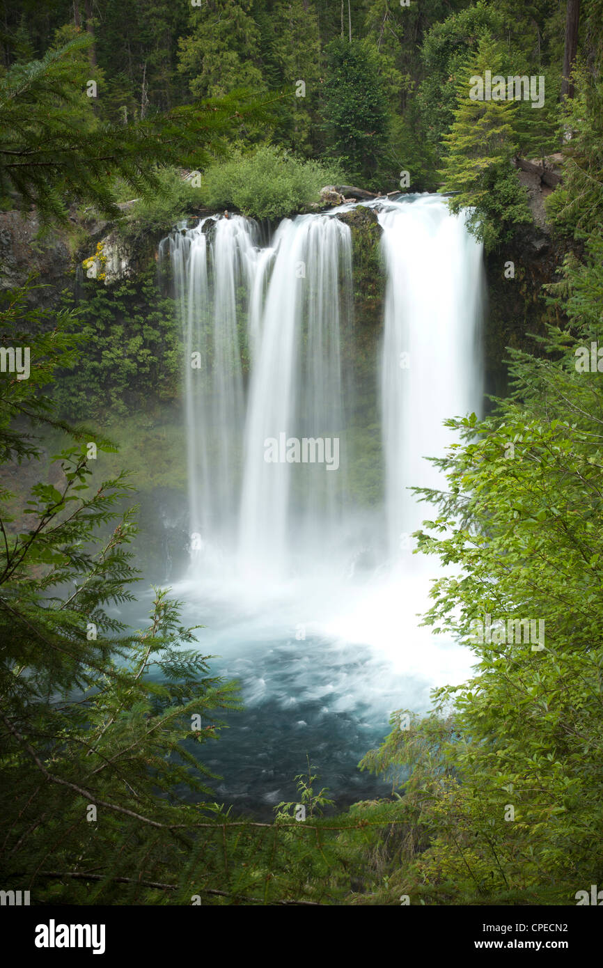 Koosah Falls, en Oregon. Banque D'Images
