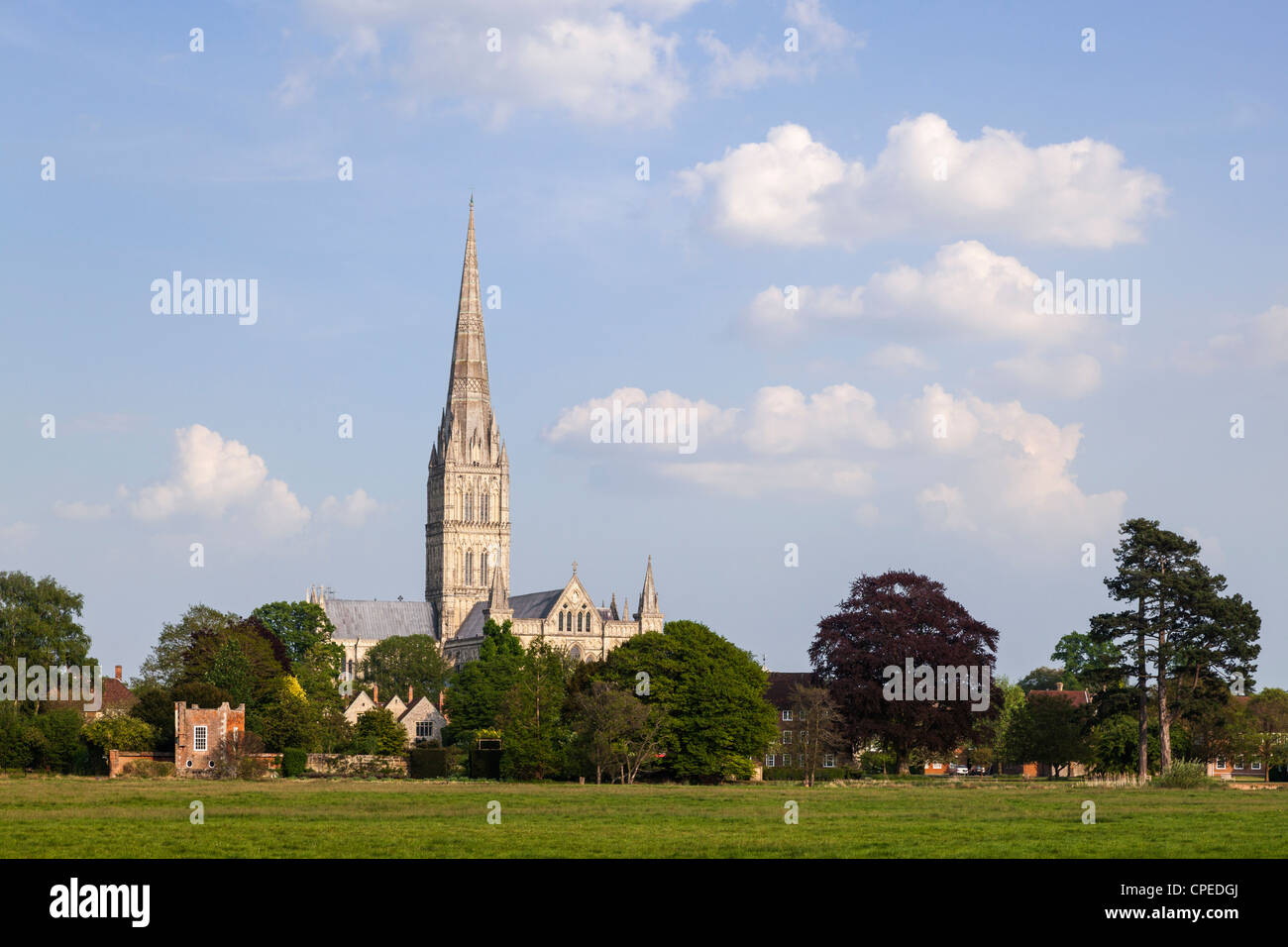 La cathédrale de Salisbury, construite entre 1310 et 1330, possède la plus haute flèche d'Angleterre. Salisbury, Wiltshire Angleterre. Banque D'Images