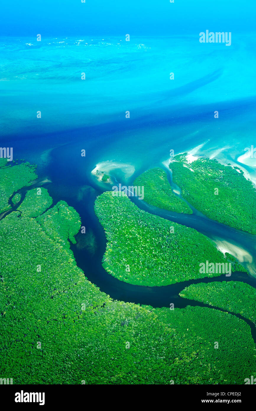 Les mangroves le long de la côte de la Parc National des Quirimbas au Mozambique. Banque D'Images