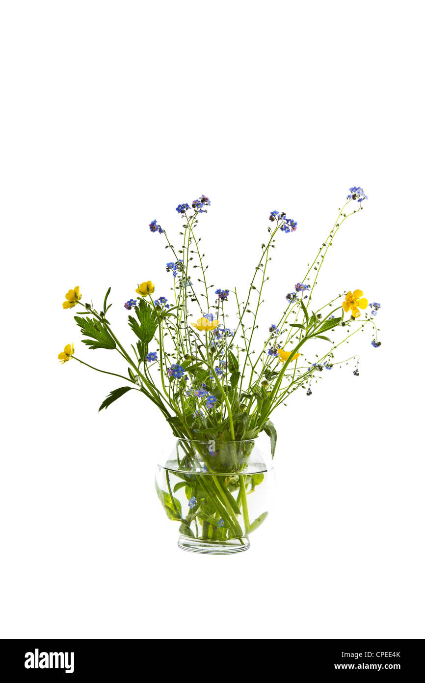 Fleurs sauvages de saison en vase en verre sur fond blanc Banque D'Images