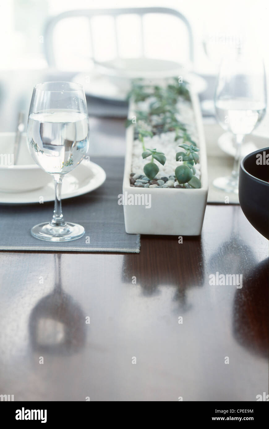 Plante en pot et Vaisselle sur table à manger Banque D'Images