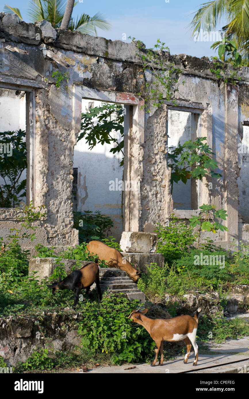 Demeure coloniale de l'Inde dans la rue sur l'Ibo Ibo island dans l'archipel des Quirimbas au large de la côte du Mozambique. Banque D'Images