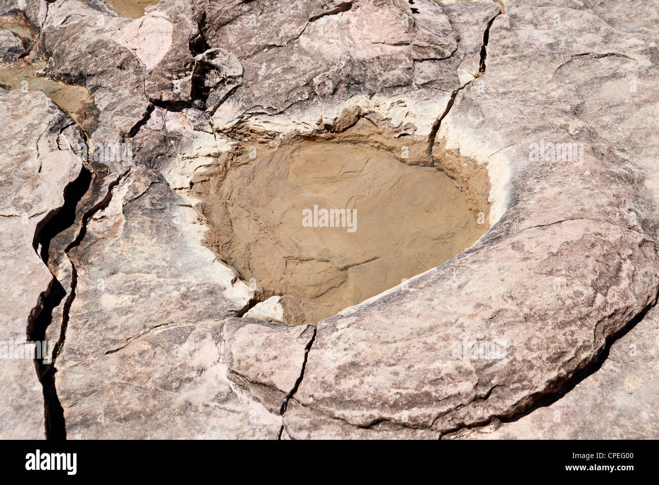 Traces de dinosaures fossilisées dans le parc national de Toro toro, Bolivie - Crétacé Banque D'Images