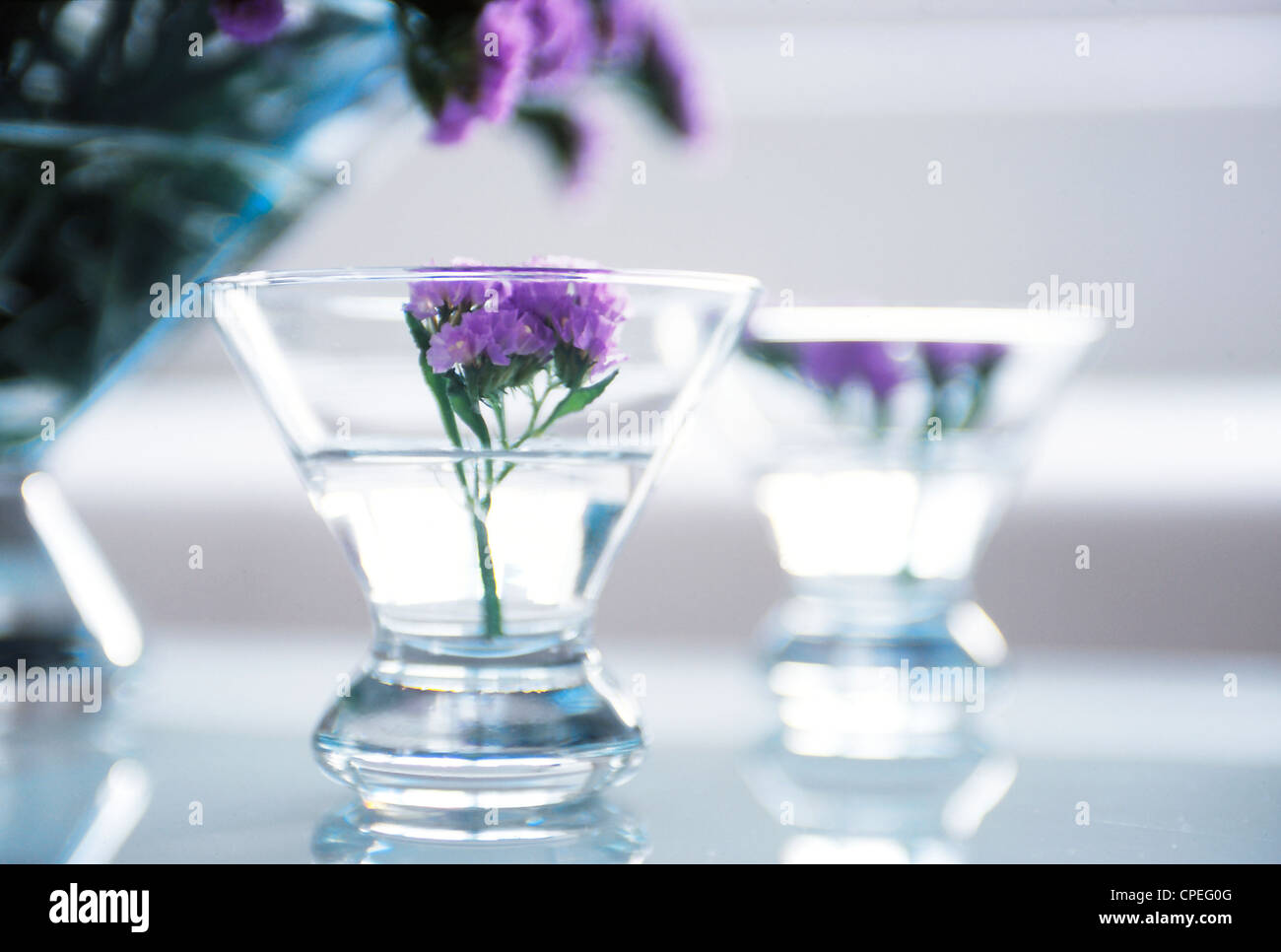 Fleurs violettes en Bols en verre Banque D'Images