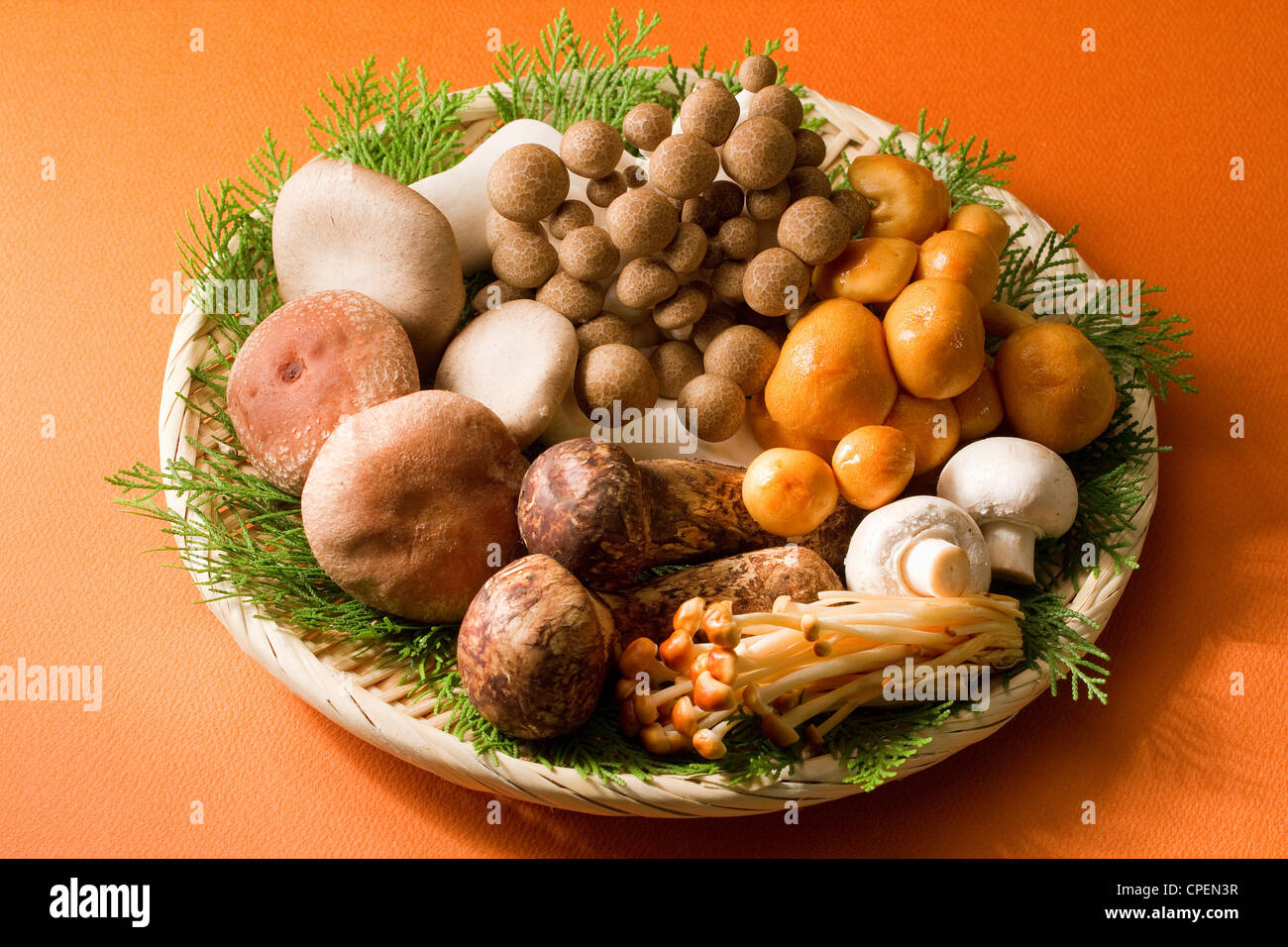 Autre Roi de champignons dans le panier Banque D'Images Autre Roi de champignons dans le panier Banque D'Images