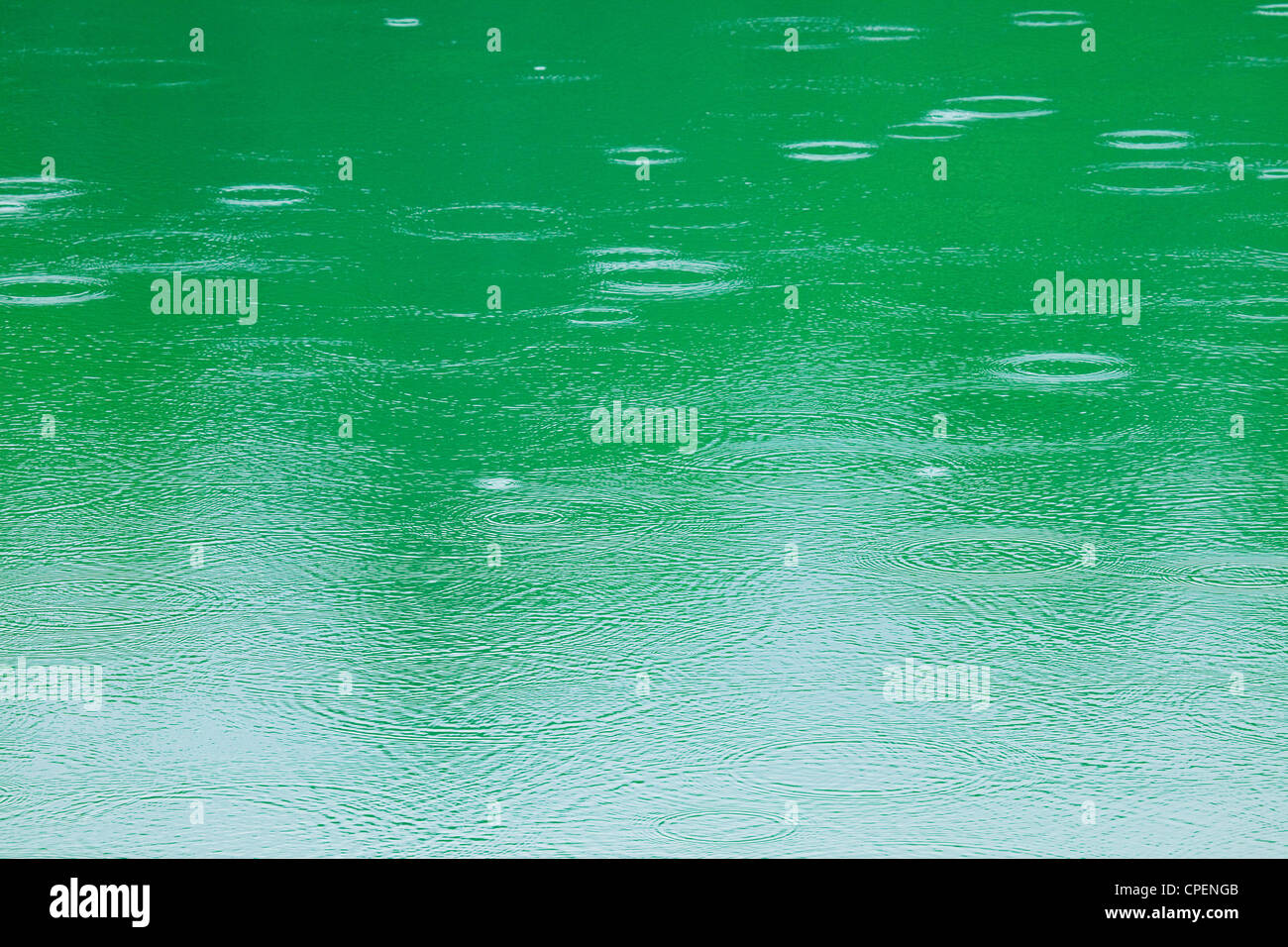 Full Frame de l'Eau Verte Banque D'Images