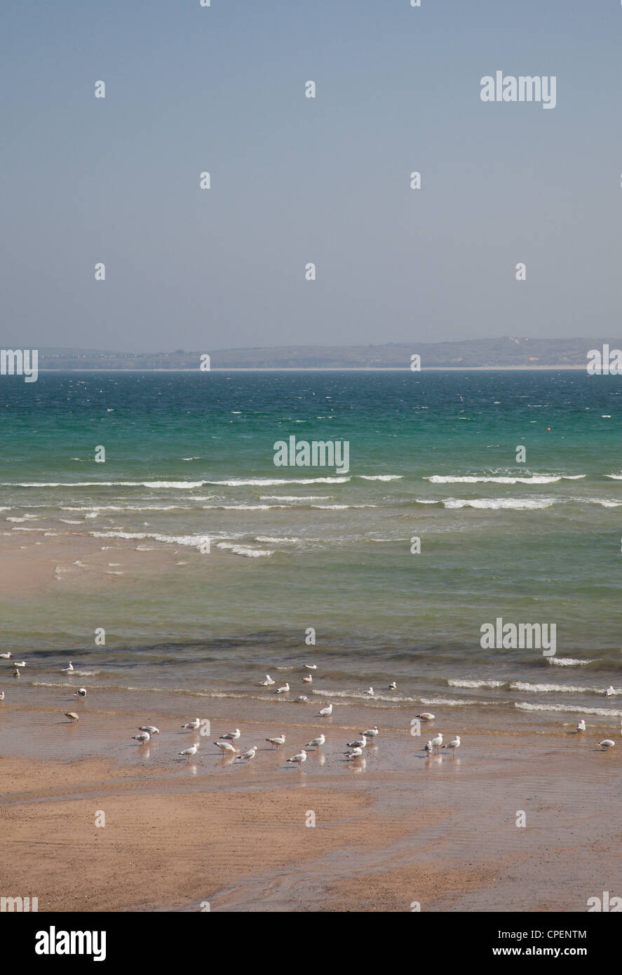 Vue sur la mer depuis le port, St Ives, Cornwall, England, UK Banque D'Images