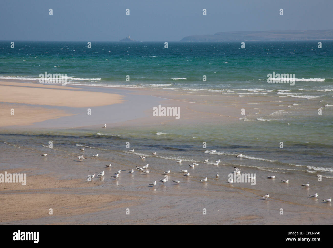 Vue sur la mer depuis le port, St Ives, Cornwall, England, UK. Mouettes sur la plage. Banque D'Images